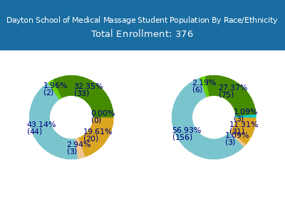 Dayton School of Medical Massage 2025 Student Population by Gender and Race chart