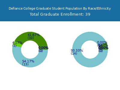 Defiance College 2025 Graduate Enrollment by Gender and Race chart