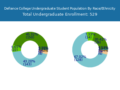Defiance College 2025 Undergraduate Enrollment by Gender and Race chart