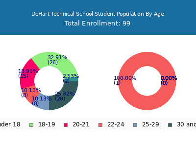 DeHart Technical School 2024 Student Population Age Diversity Pie chart