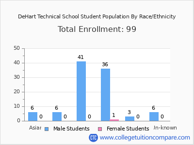 DeHart Technical School 2025 Student Population by Gender and Race chart