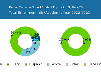 DeHart Technical School 2023 Student Population by Gender and Race chart