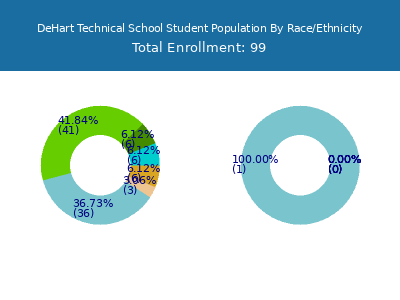DeHart Technical School 2025 Student Population by Gender and Race chart