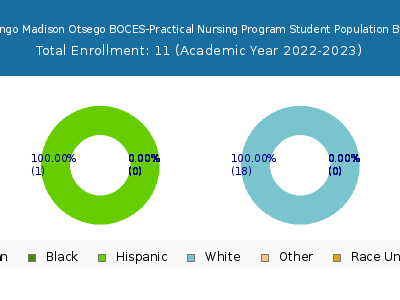 Delaware Chenango Madison Otsego BOCES-Practical Nursing Program 2023 Student Population by Gender and Race chart