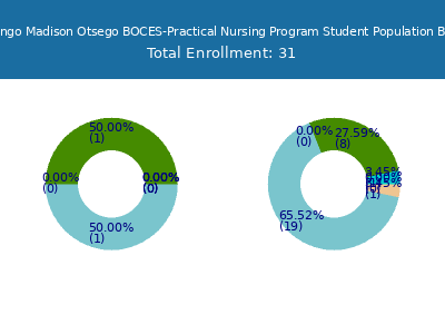 Delaware Chenango Madison Otsego BOCES-Practical Nursing Program 2025 Student Population by Gender and Race chart