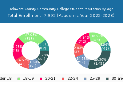Delaware County Community College 2023 Student Population Age Diversity Pie chart