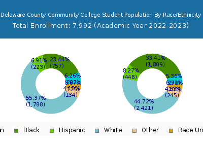Delaware County Community College 2023 Student Population by Gender and Race chart