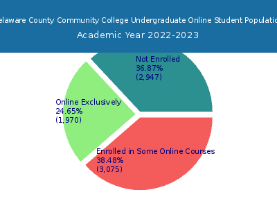 Delaware County Community College 2023 Online Student Population chart