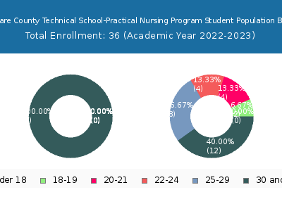 Delaware County Technical School-Practical Nursing Program 2023 Student Population Age Diversity Pie chart