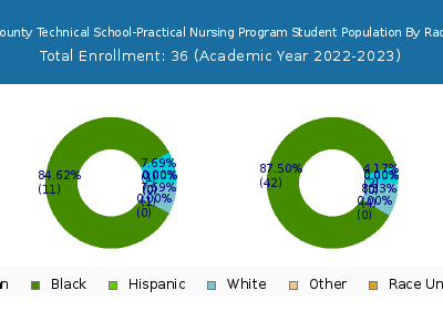 Delaware County Technical School-Practical Nursing Program 2023 Student Population by Gender and Race chart