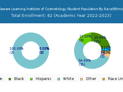 Delaware Learning Institute of Cosmetology 2023 Student Population by Gender and Race chart