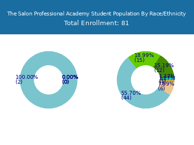 The Salon Professional Academy 2025 Student Population by Gender and Race chart