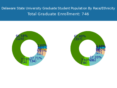 Delaware State University 2025 Graduate Enrollment by Gender and Race chart