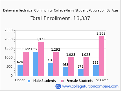 Delaware Technical Community College-Terry 2024 Student Population by Age chart
