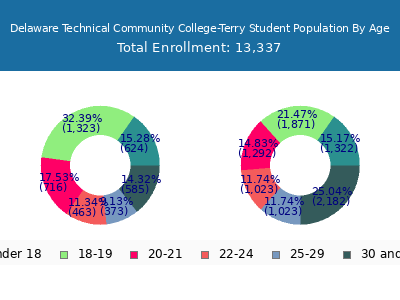 Delaware Technical Community College-Terry 2024 Student Population Age Diversity Pie chart