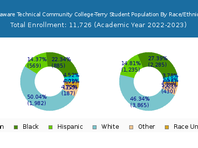 Delaware Technical Community College-Terry 2023 Student Population by Gender and Race chart