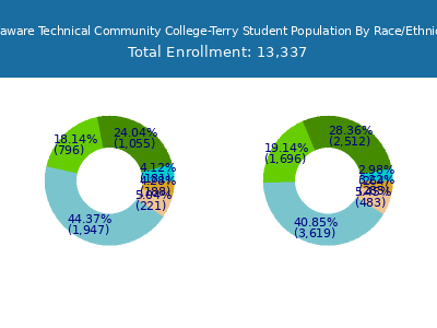 Delaware Technical Community College-Terry 2025 Student Population by Gender and Race chart