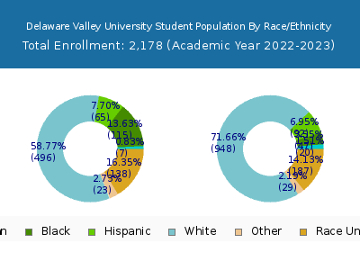 Delaware Valley University 2023 Student Population by Gender and Race chart