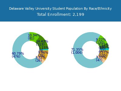 Delaware Valley University 2025 Student Population by Gender and Race chart