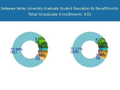 Delaware Valley University 2025 Graduate Enrollment by Gender and Race chart