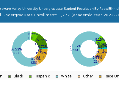 Delaware Valley University 2023 Undergraduate Enrollment by Gender and Race chart