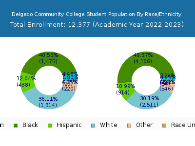 Delgado Community College 2023 Student Population by Gender and Race chart