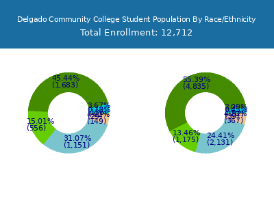 Delgado Community College 2025 Student Population by Gender and Race chart