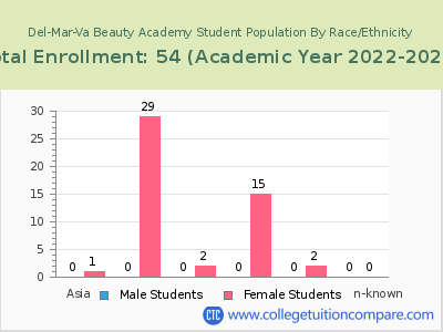 Del-Mar-Va Beauty Academy 2023 Student Population by Gender and Race chart