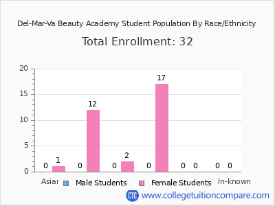 Del-Mar-Va Beauty Academy 2025 Student Population by Gender and Race chart