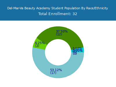 Del-Mar-Va Beauty Academy 2025 Student Population by Gender and Race chart