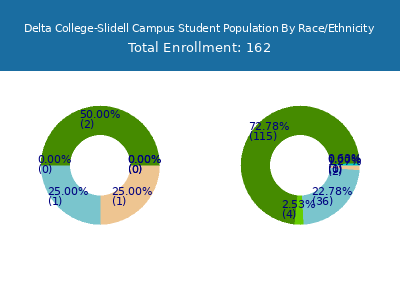 Delta College-Slidell Campus 2025 Student Population by Gender and Race chart