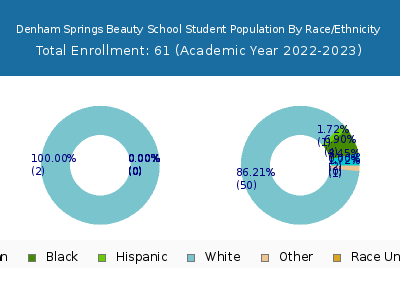 Denham Springs Beauty School 2023 Student Population by Gender and Race chart