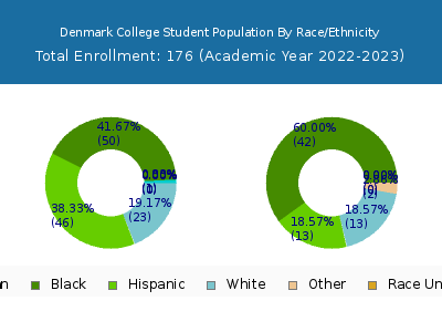 Denmark College 2023 Student Population by Gender and Race chart
