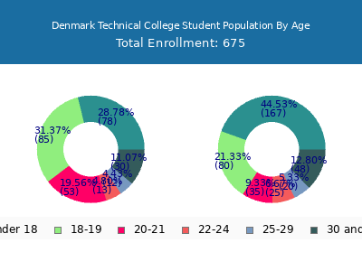 Denmark Technical College 2024 Student Population Age Diversity Pie chart