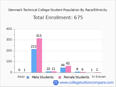 Denmark Technical College 2025 Student Population by Gender and Race chart