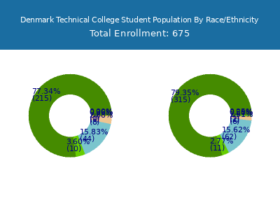 Denmark Technical College 2025 Student Population by Gender and Race chart