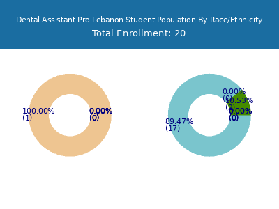 Dental Assistant Pro-Lebanon 2025 Student Population by Gender and Race chart