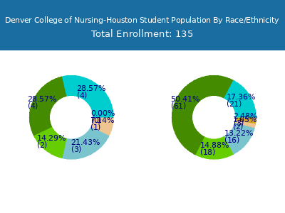 Denver College of Nursing-Houston 2025 Student Population by Gender and Race chart