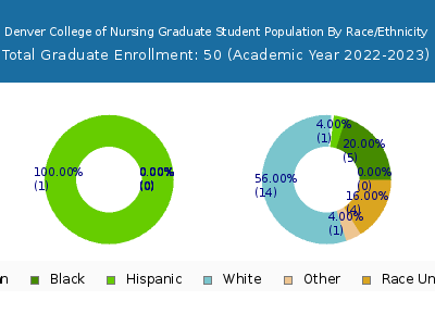Denver College of Nursing 2023 Graduate Enrollment by Gender and Race chart
