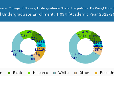 Denver College of Nursing 2023 Undergraduate Enrollment by Gender and Race chart