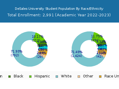 DeSales University 2023 Student Population by Gender and Race chart