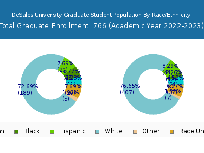 DeSales University 2023 Graduate Enrollment by Gender and Race chart