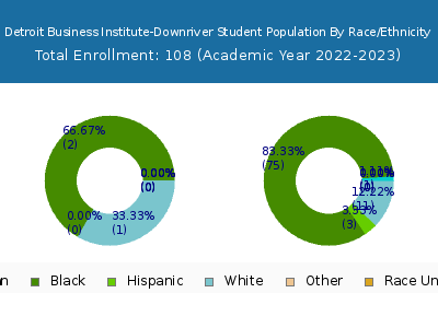 Detroit Business Institute-Downriver 2023 Student Population by Gender and Race chart