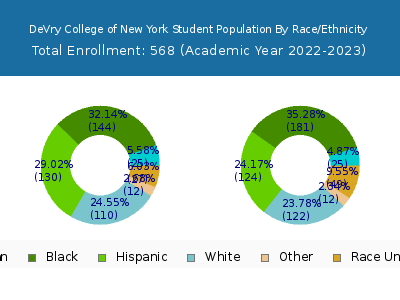 DeVry College of New York 2023 Student Population by Gender and Race chart
