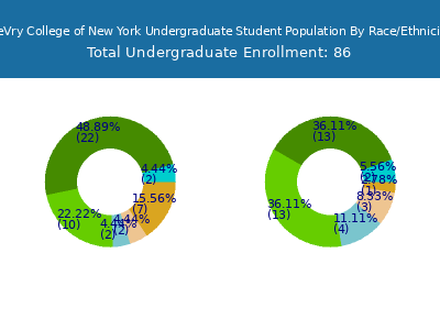 DeVry College of New York 2025 Undergraduate Enrollment by Gender and Race chart