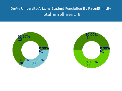 DeVry University-Arizona 2025 Student Population by Gender and Race chart