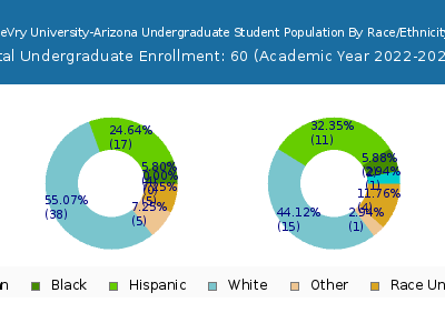 DeVry University-Arizona 2023 Undergraduate Enrollment by Gender and Race chart