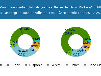 DeVry University-Georgia 2023 Undergraduate Enrollment by Gender and Race chart