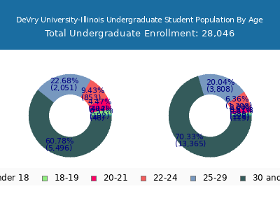 DeVry University-Illinois 2025 Undergraduate Enrollment Age Diversity Pie chart