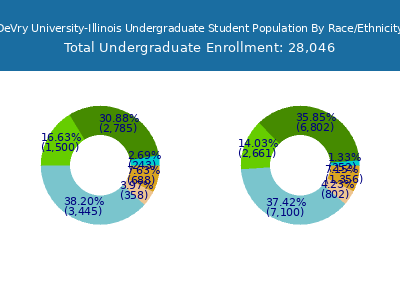 DeVry University-Illinois 2025 Undergraduate Enrollment by Gender and Race chart